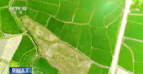 自然资源部加强国土空间生态修复项目规范实施与监督