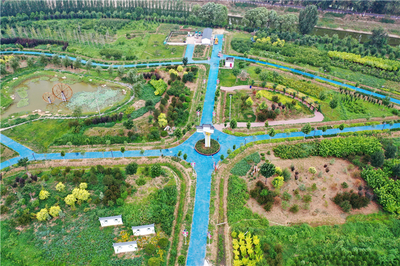 河北青县 大运河荒滩变身生态公园，生态修复点亮绿色希望