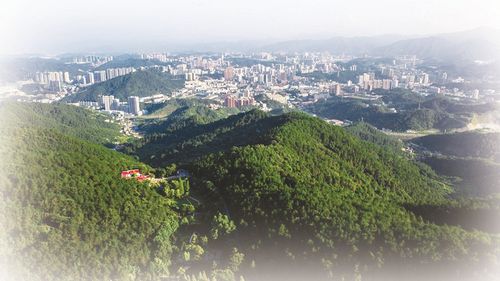 绿色扬帆正当时——生态修复战中的十堰答卷