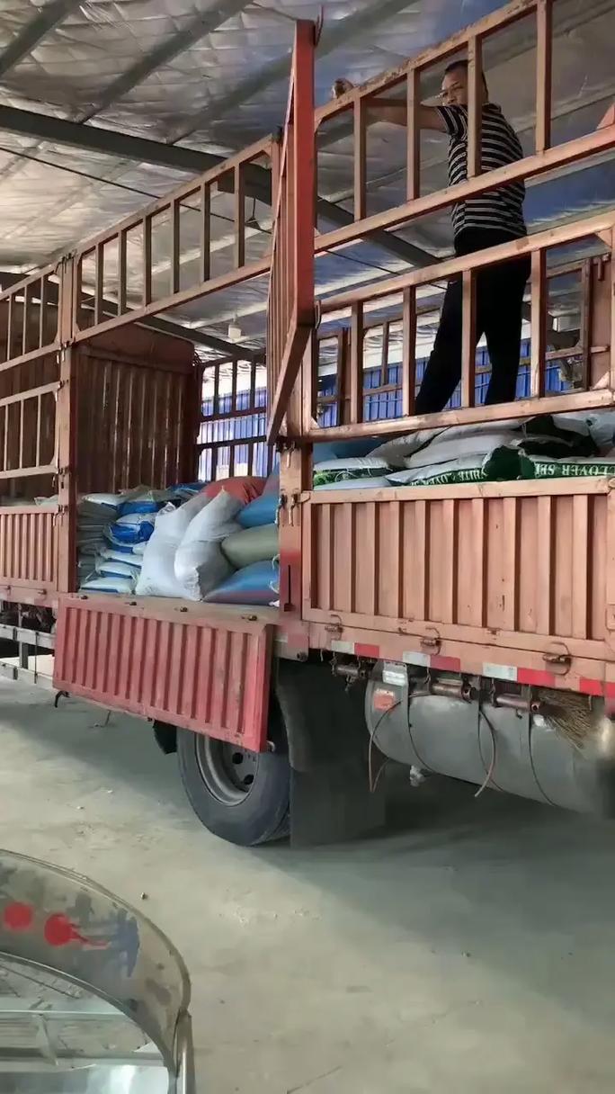 四季青草籽.萍乡四季青草籽工厂,生态修复草种,进口草坪种子